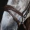 BR100 Venice Bridle with Reins - Available in Cob or Full - Black or Havana, Pick'n'Mix